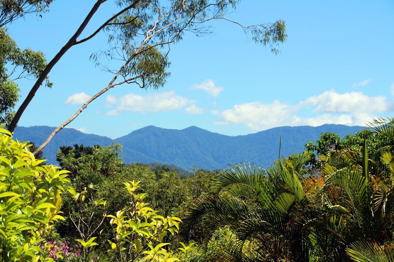 Bed and breakfast Bella Vista Bellingen Extérieur photo