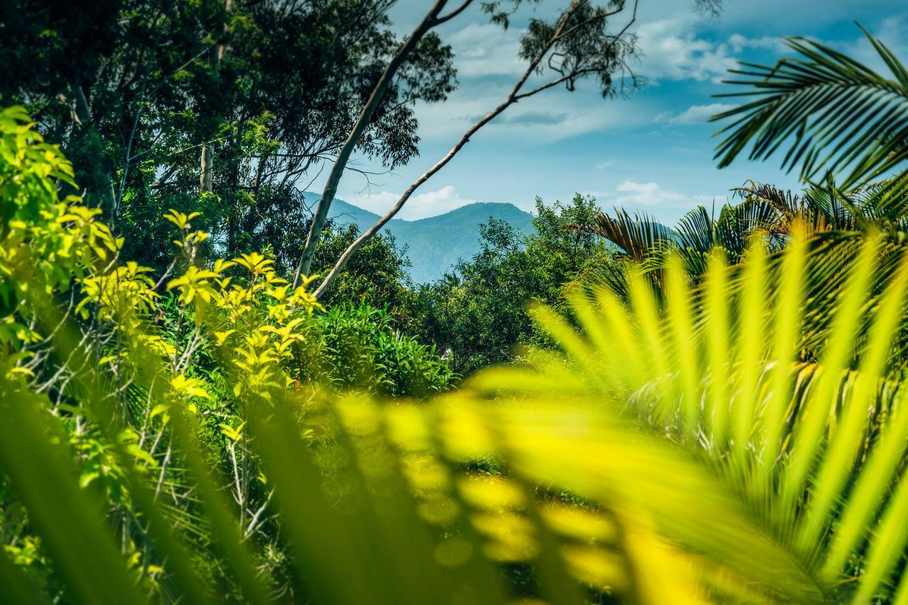 Bed and breakfast Bella Vista Bellingen Extérieur photo