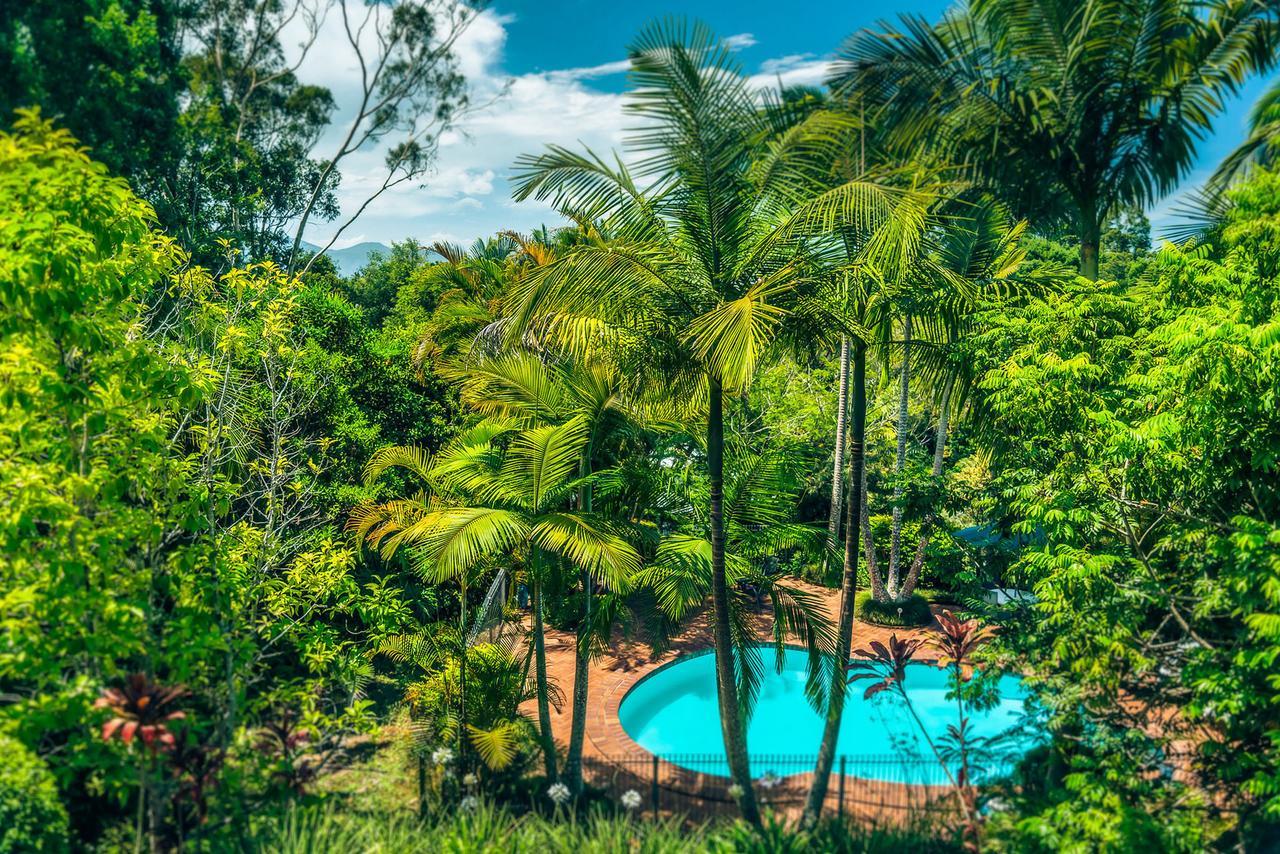 Bed and breakfast Bella Vista Bellingen Extérieur photo